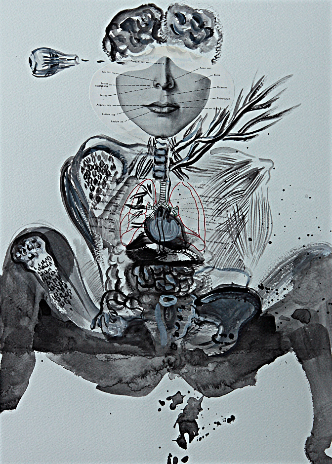 Anatomy Lesson, collage, 40,5 cm x 30,5cm, 2011