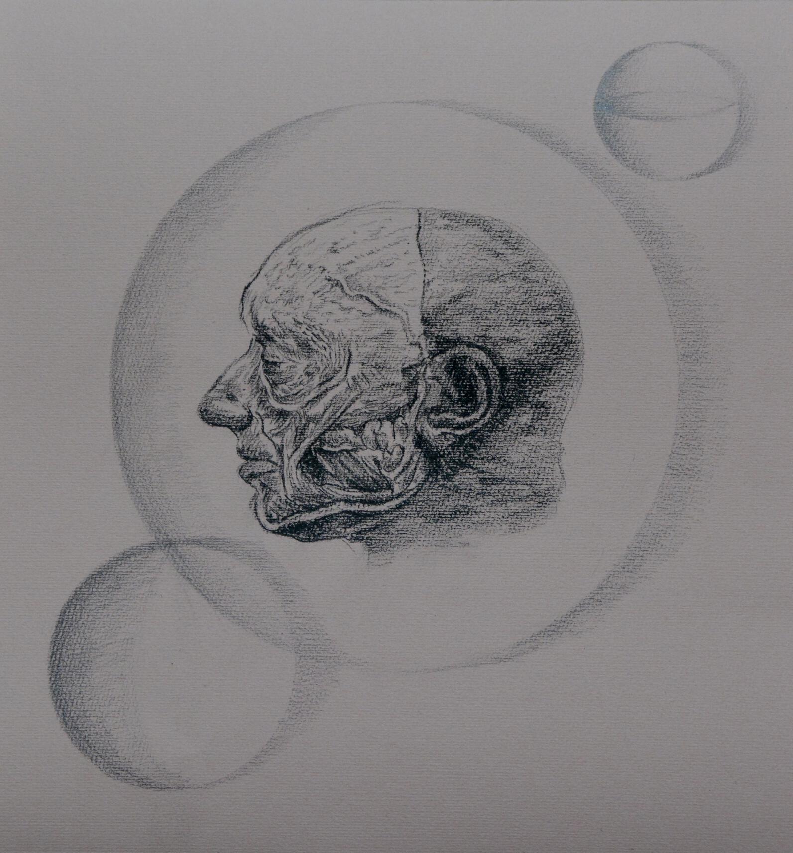 Head - planet, pencil – drawing, 25cm x 23,5cm, 2013