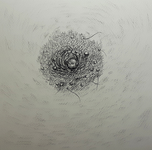 ELEMENT II, charcoal on paper, 20cm x 20cm, 2017