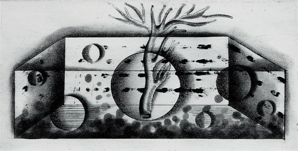 Cell, etching, aquatint, 10cm x 20cm, 2008
