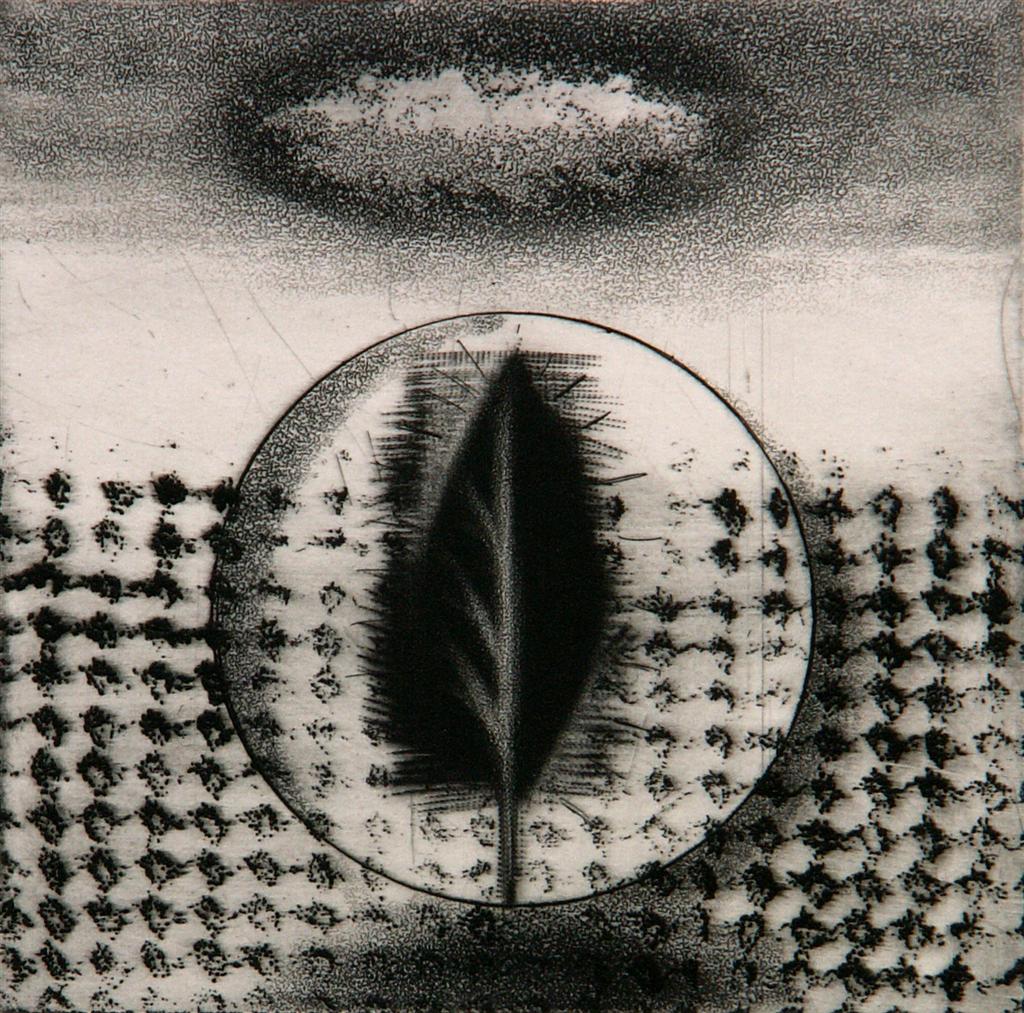 Spring I, etching, aquatint, mezzotint, 13cm x 13cm, 2007