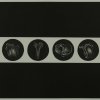 GENESIS XVII - BODY
